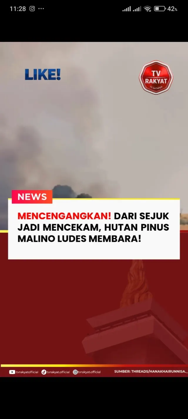 Kebakaran Lahan Hantam Hutan Pinus Malino, Kawasan Wisata Populer Gowa Mencekam — News