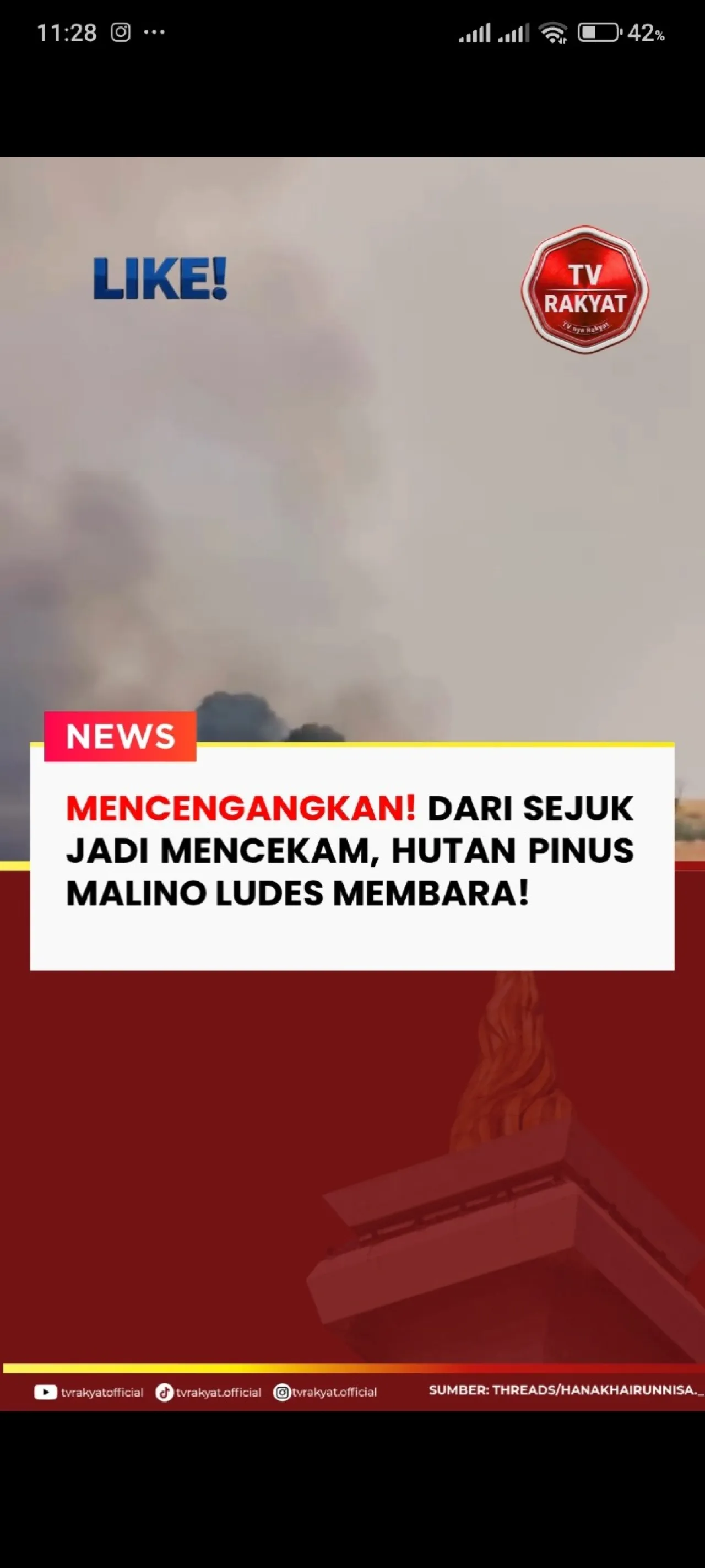 Kebakaran Lahan Hantam Hutan Pinus Malino, Kawasan Wisata Populer Gowa Mencekam — News